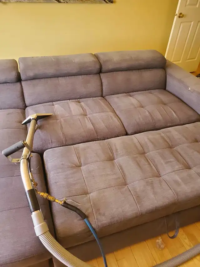 Truckmount Steam Carpet Cleaning Service - Photo 2