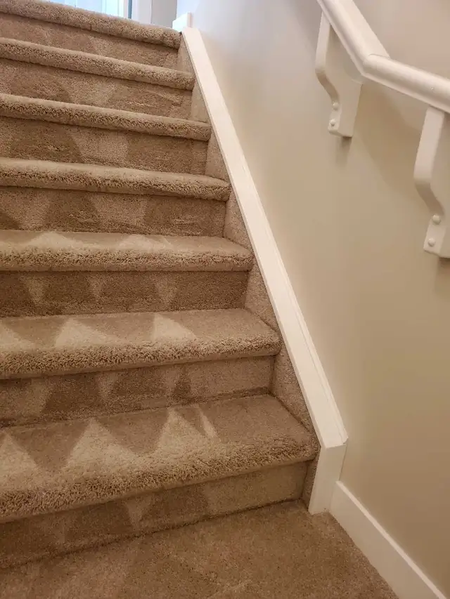 Truckmount Steam Carpet Cleaning Service - Photo 3