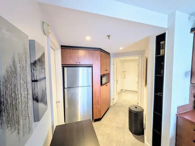 1 Bed ALL Included- Metro Guy Concordia- Available - Photo 6