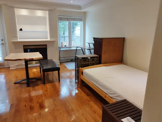 Quiet Clean Studio Apartment for Rent – Yonge & Finch North York - Photo 2