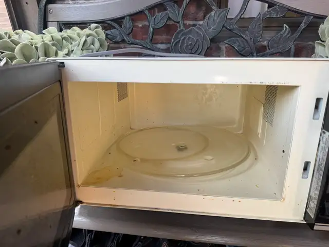 Microwave - Photo 2