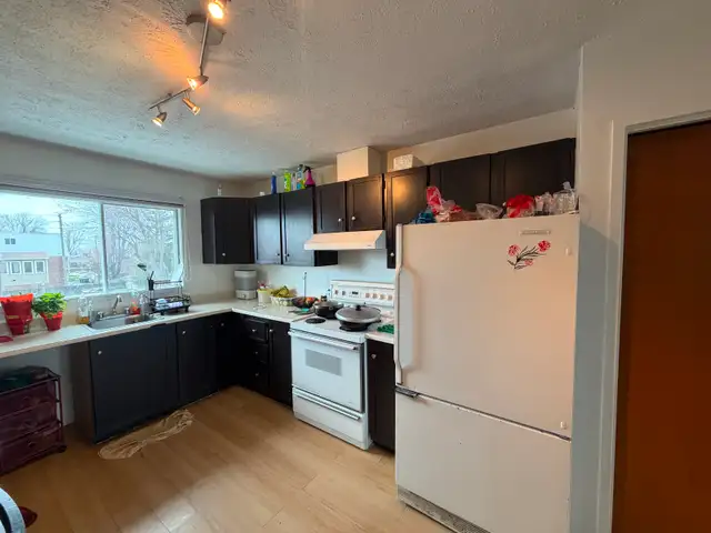 Beau 4 1/2 à louer pour 1 juillet! - Photo 2