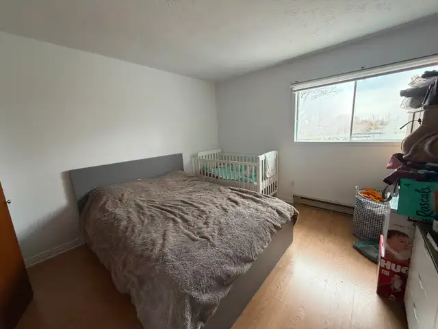 Beau 4 1/2 à louer pour 1 juillet! - Photo 9