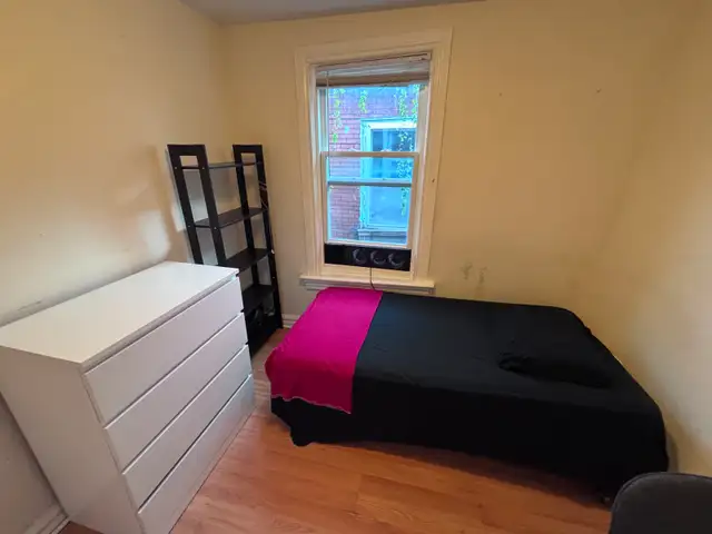 Cozy & Private Room for Male Student in Downtown 3-Bedroom ($