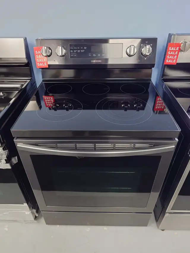 Samsung '30' Stainless Steel Freestanding Electric Range on Sale