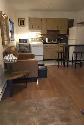 High Park Junction- 1 bedroom Coach House with yard 1695 inc