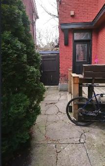 1 Bed Apartment Queen West Parkdale | June 1 | $2,000 - Photo 3