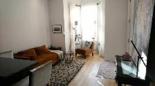 1 Bed Apartment Queen West Parkdale | June 1 | $2,000 - Photo 4