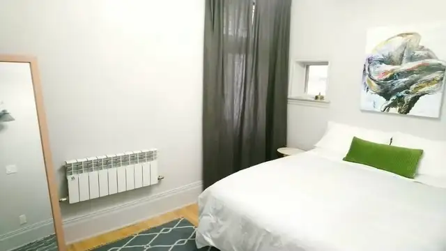 1 Bed Apartment Queen West Parkdale | June 1 | $2,000 - Photo 9