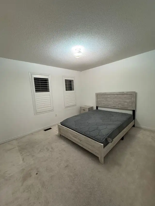 3-Bedroom House For Rent: Markham Rd & Denison St - Photo 7