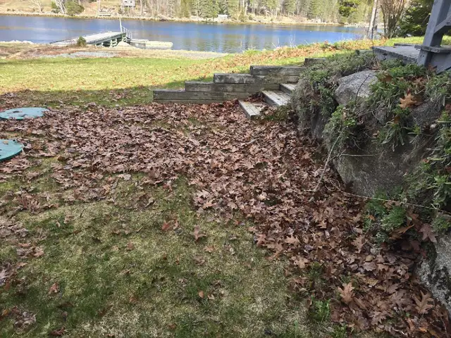 PropertyCleanup.ca – Spring Lawn Cleanup - Photo 3