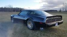 1981 Pontiac Trans Am SURVIVOR - Photo 2