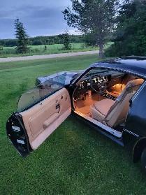 1981 Pontiac Trans Am SURVIVOR - Photo 3