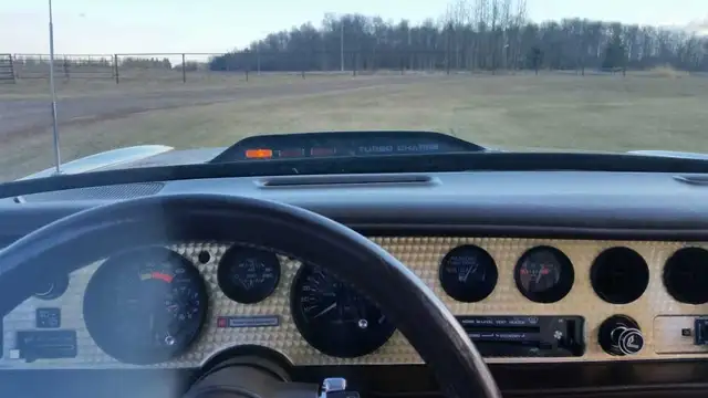 1981 Pontiac Trans Am SURVIVOR - Photo 4