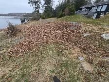 PropertyCleanup.ca – Spring Lawn Cleanup