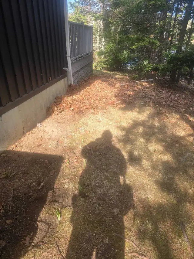 PropertyCleanup.ca – Spring Lawn Cleanup - Photo 10