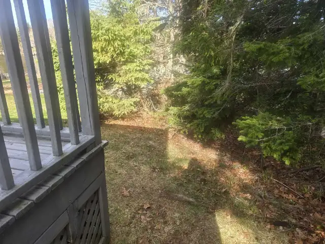 PropertyCleanup.ca – Spring Lawn Cleanup - Photo 9