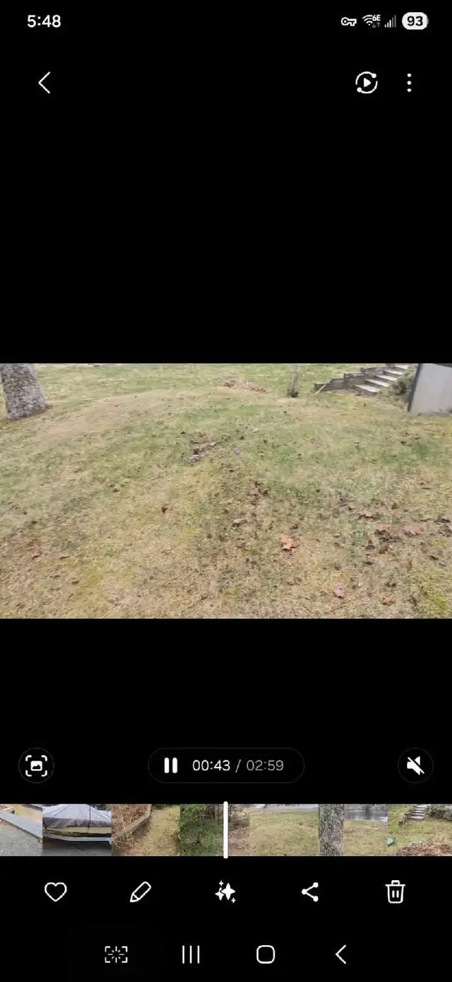 PropertyCleanup.ca – Spring Lawn Cleanup - Photo 6
