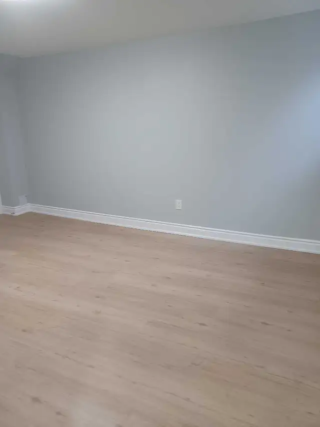 BASEMENT RENTAL AVAILABLE immediately - Photo 5