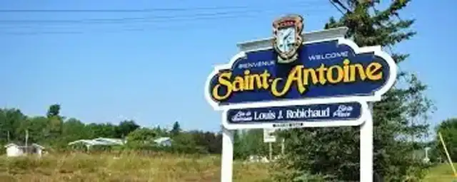 2 BEDROOM APARTMENT(1YR-LEASE) FOR RENT IN BEAUTIFUL ST-ANTOINE - Photo 10