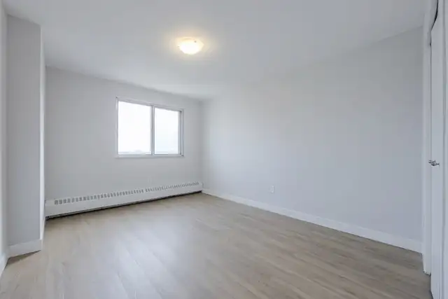 Alpine Apartments - 1 Bedroom available at 5 Tangreen Court, Nor - Photo 12