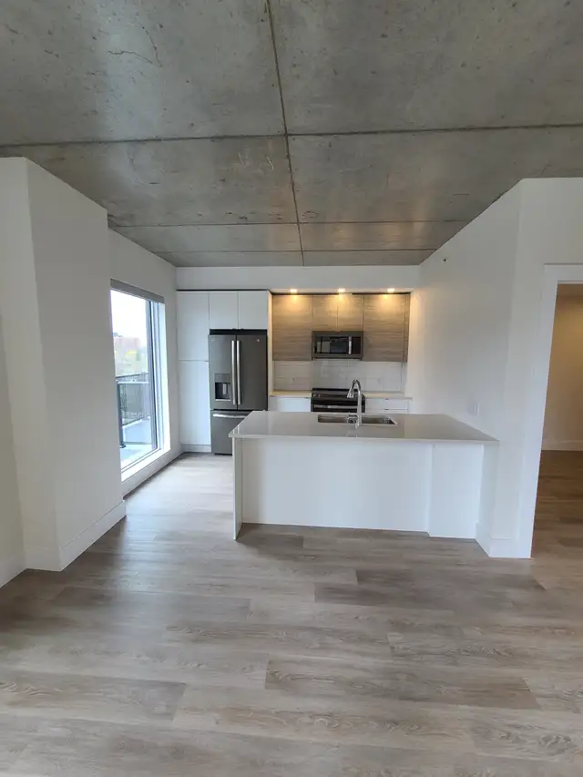 Luxury 2BR - Unit 902 - City Views - Sept 1st - Water/Heat Incl - Photo 11