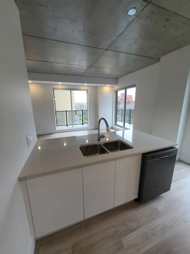 Luxury 2BR - Unit 902 - City Views - Sept 1st - Water/Heat Incl - Photo 12