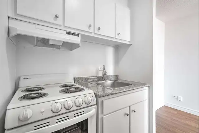The 1350 Dufort Apartments - Jr 1 Bedroom, Montreal Apt for Rent - Photo 6