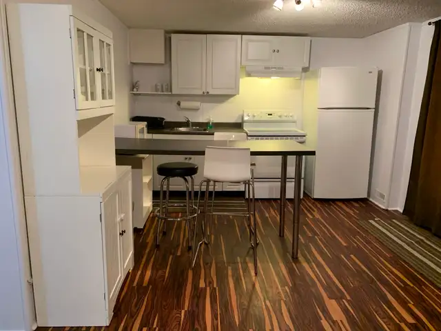 Furnished Walkout Studio – $1,400 All-Inclusive, 1 Occupant Only - Photo 3
