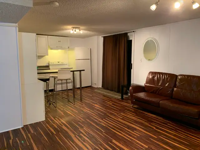 Furnished Walkout Studio – $1,400 All-Inclusive, 1 Occupant Only - Photo 4