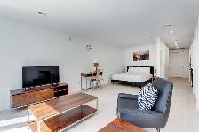 2.5-STUDIO à louer/for rent-Quartier des spectacles-Myriade - Photo 7
