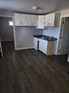 BRIGHT 2 BEDROOM BASEMENT SUITE FOR RENT!