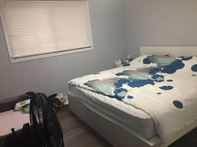 Beddington - Main Floor 3BR 1.5Bath - Photo 4