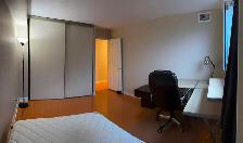 Large Furnished Room in Two Bedroom Condo Downtown Toronto