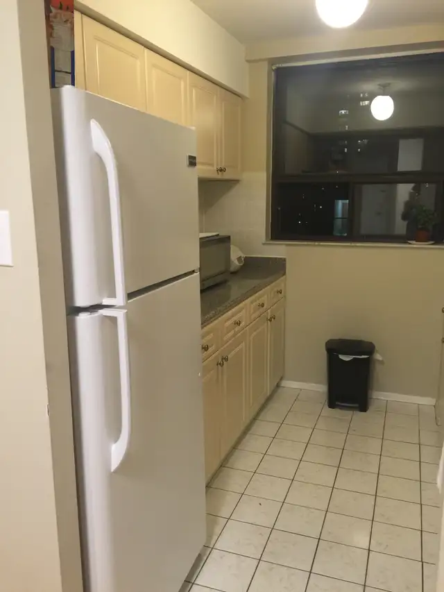 Large Furnished Room in Two Bedroom Condo Downtown Toronto - Photo 5