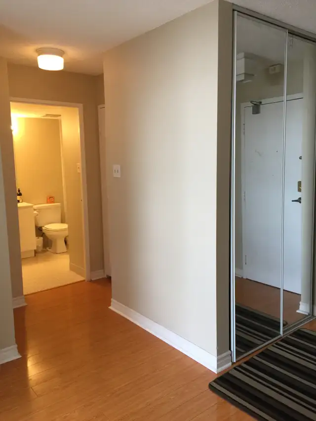Large Furnished Room in Two Bedroom Condo Downtown Toronto - Photo 8