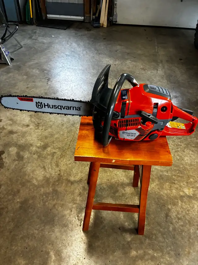 Chainsaw - Photo 2