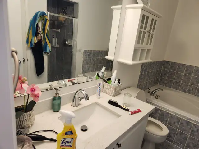 Detailed house cleaner