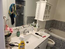 Detailed house cleaner
