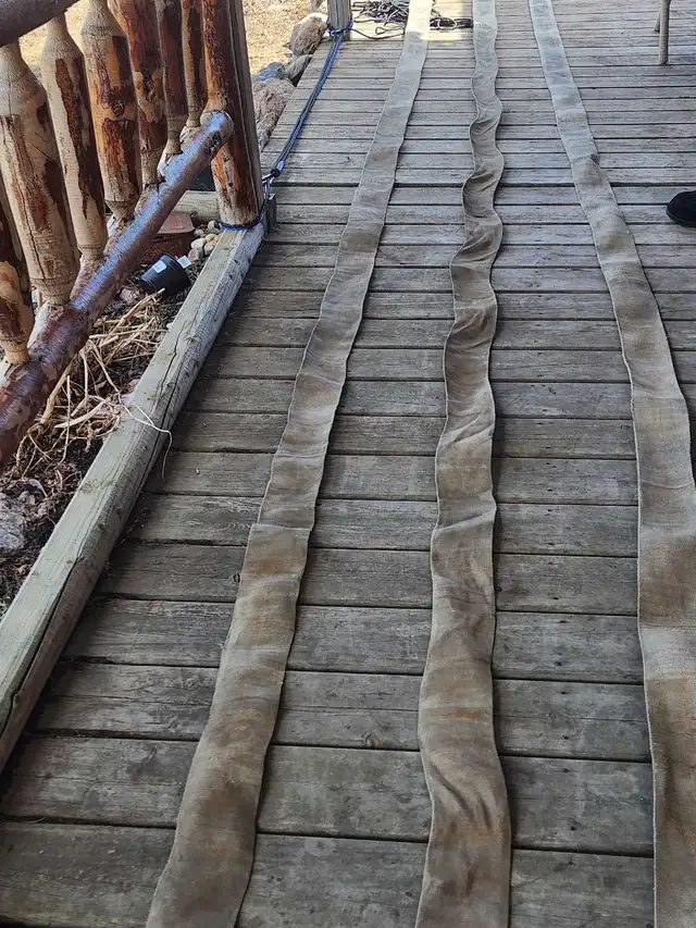 4' x 24' Cargo Straps w/ Delta Rings - Photo 3