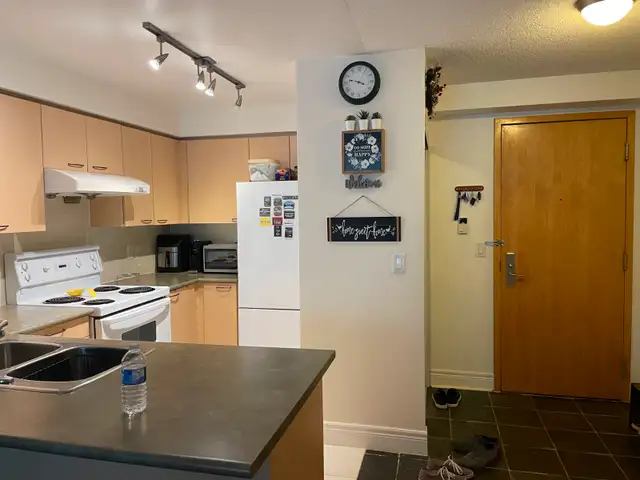 1 bedroom apartment is available for rent from July 1, 2026 - Photo 8