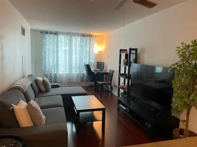 1 bedroom apartment is available for rent from July 1, 2026 - Photo 9