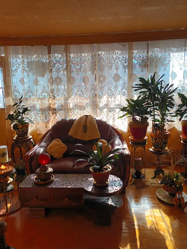 Private room -West Mall and Bloor ( ETOBICOKE ) HWY 427 - Photo 12