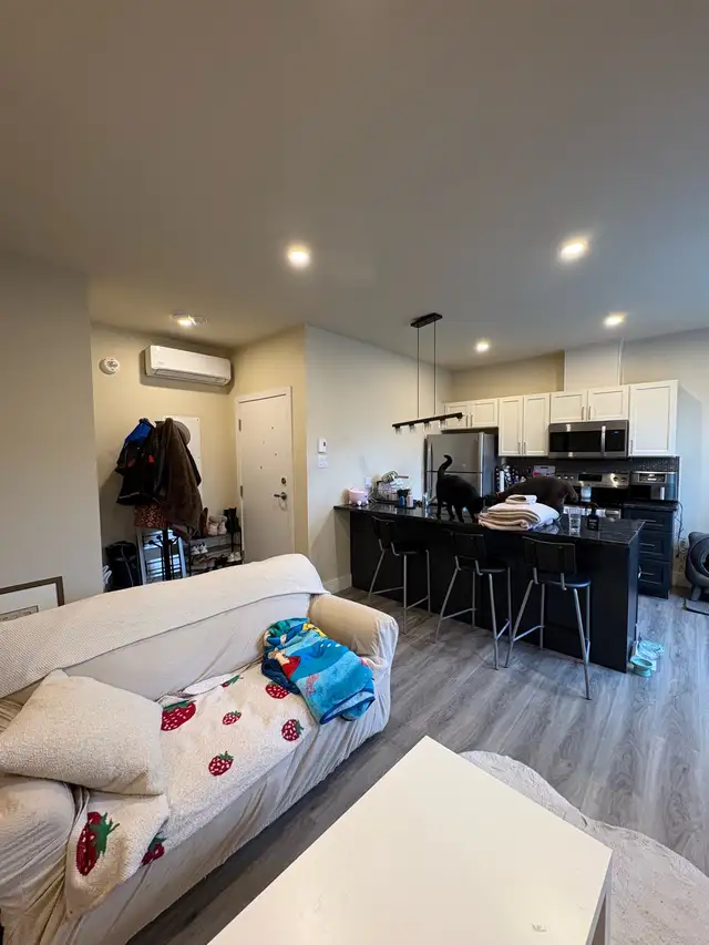 Studios: 995$/mois et 1049$/mois - A Greenfield Park - Rive Sud - Photo 4