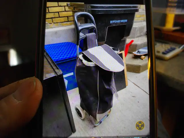 2 wheel shopping cart