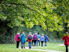 Women’s Walking & Wellness Group