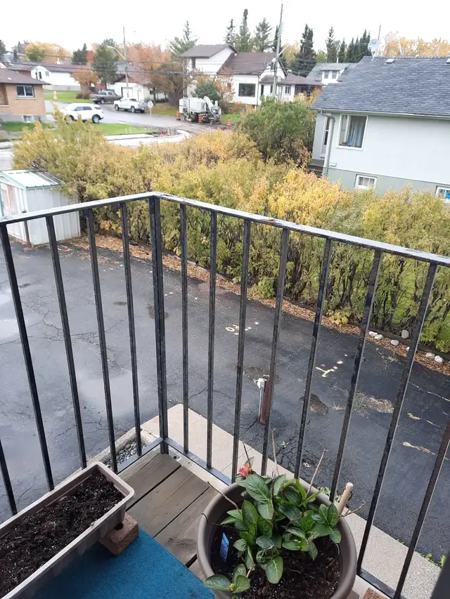 1 BDRM - Open / Balcony - Photo 6