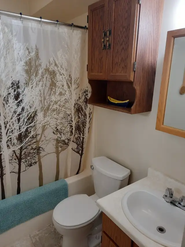 1 BDRM - Open / Balcony - Photo 9