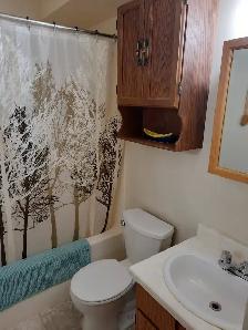 1 BDRM - Open / Balcony - Photo 9