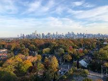 Bathurst & St Clair Ave W - 1 Bedroom   1 Bath - Photo 3